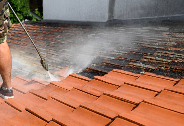 Best Residential Pressure Washing Services  in Lakeshire, MO